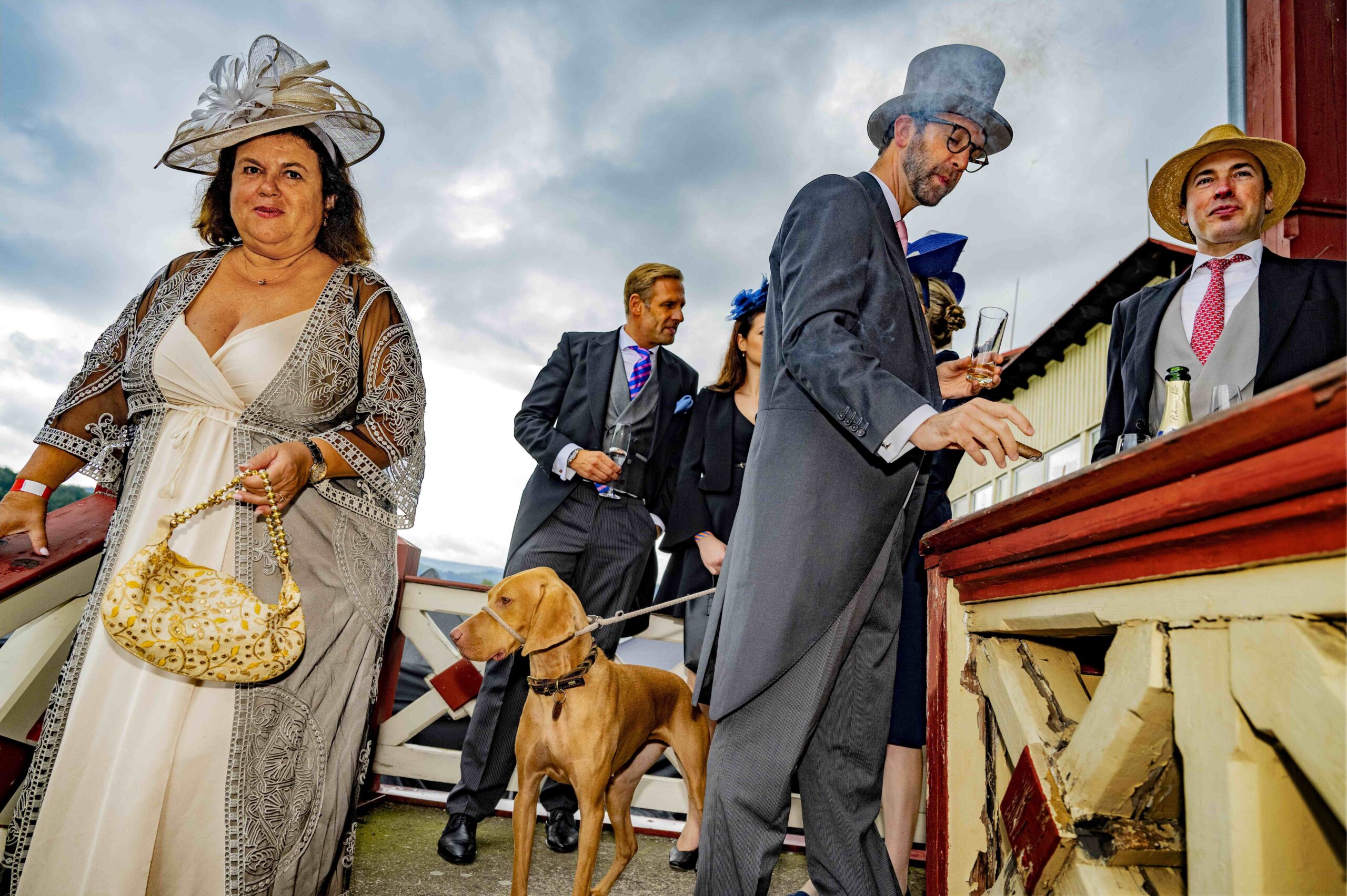 Roman Vondrouš, z cyklu Absurdity dostihového světa, praktická disertační práce, 2024.B